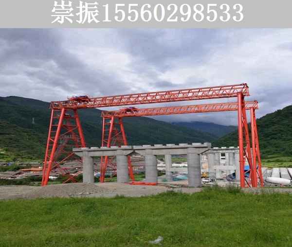 柳州100吨龙门吊